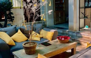 Luxury Villa In Shikh Zaied