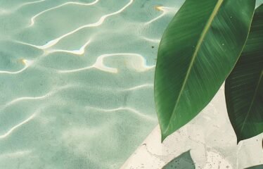 Lagoon view – Duplex – Fully Finished